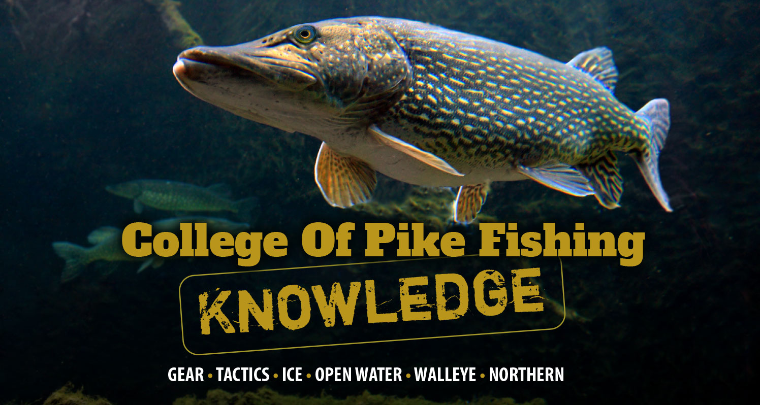 College Of Pike Fishing Knowledge