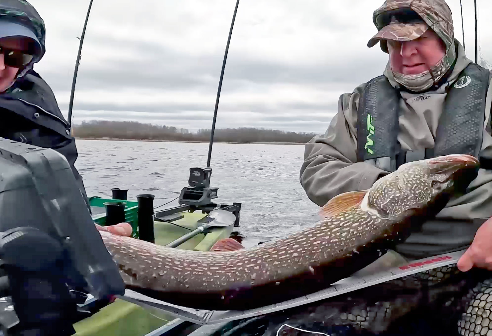 Measuring a huge pike from kayaks, caught on Bostic Bay, Lake Of The Woods, MN.