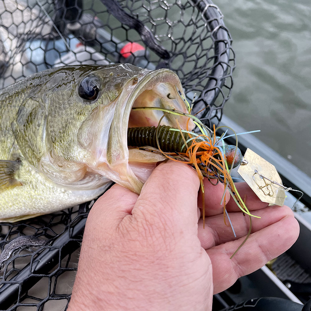 Kayak Bass Fishing