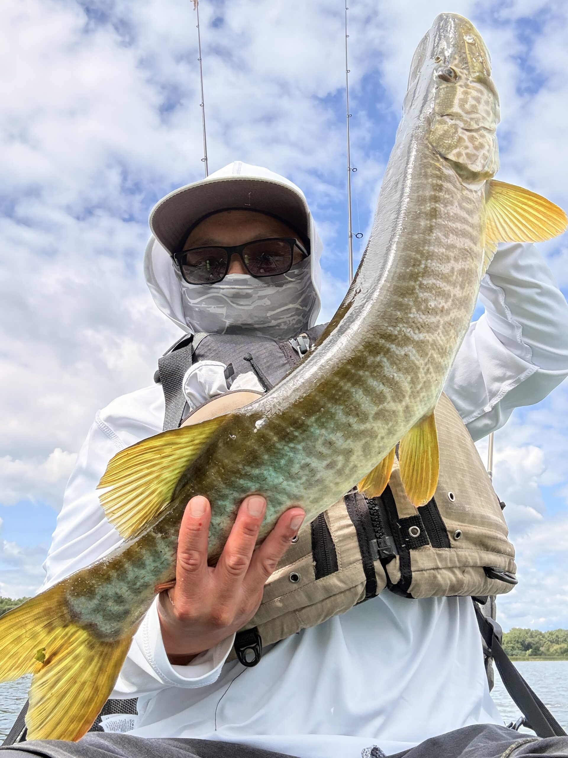 Kayak Angler Bee Lee Holding A Tiger Musky | Minnesota Kayak Fishing Association Minnesota Kayak Angler Holding A Tiger Musky