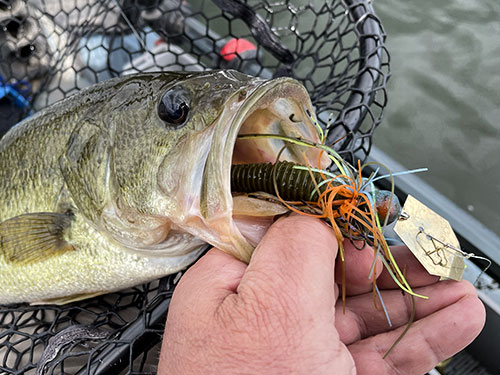 Kayak-Fishing-Tips | Minnesota Kayak Fishing Association Kayak Fishing Tips